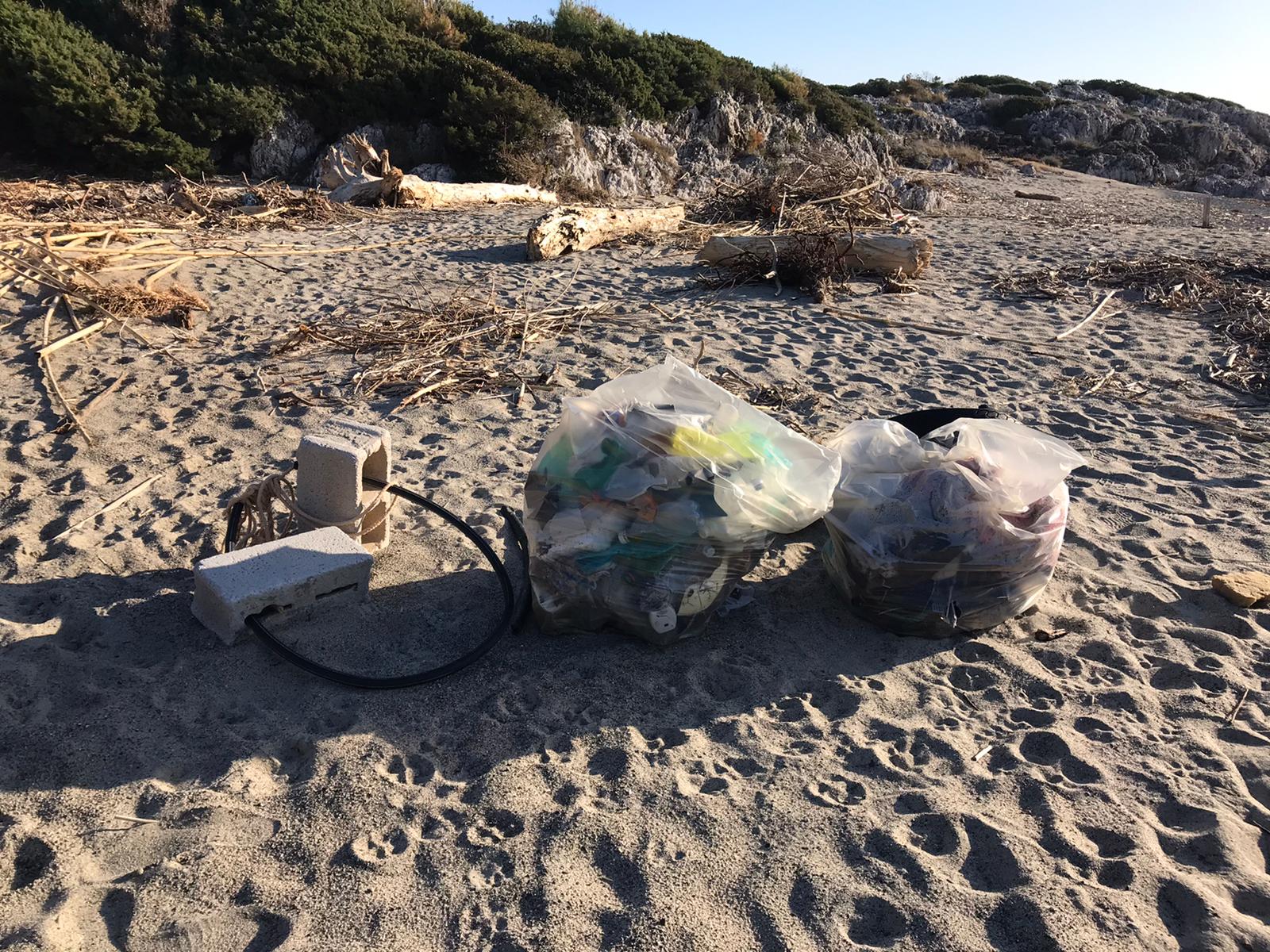Camerota, cittadini volontari in campo per ripulire le spiagge