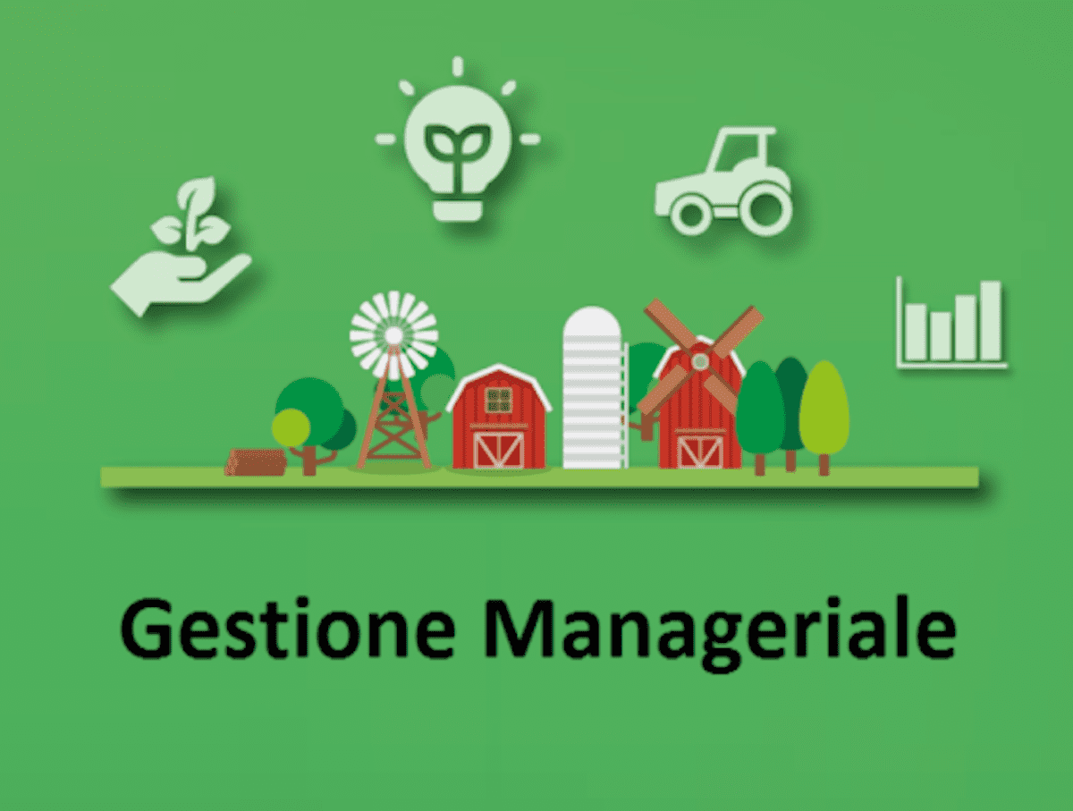 Gestione manageriale dell’impresa agricola: il corso ad Ascea