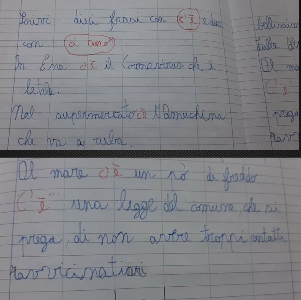 Frasi con “c’è”, virale il compito del bambino di Sala Consilina: usa amuchina e coronavirus come esempi