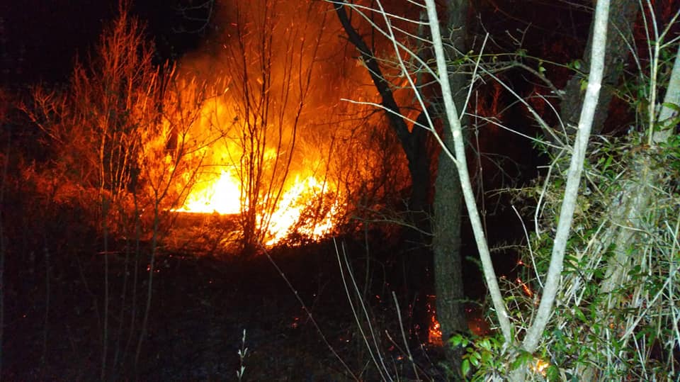 Fiamme a Celle di Bulgheria, intervengono i vigili del fuoco