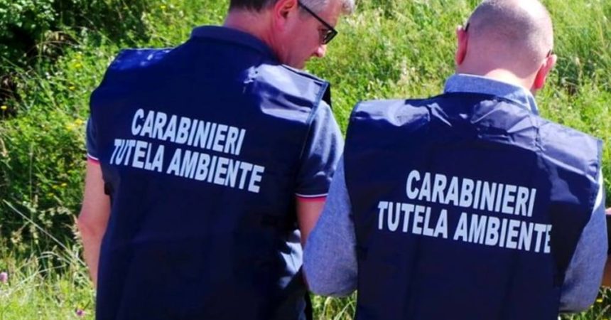 Casalvelino, gestione alghe spiaggiate: 6 nei guai