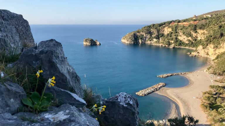 Cilento, il documentario sul cammino delle due primule dal Cervati a Capo Palinuro