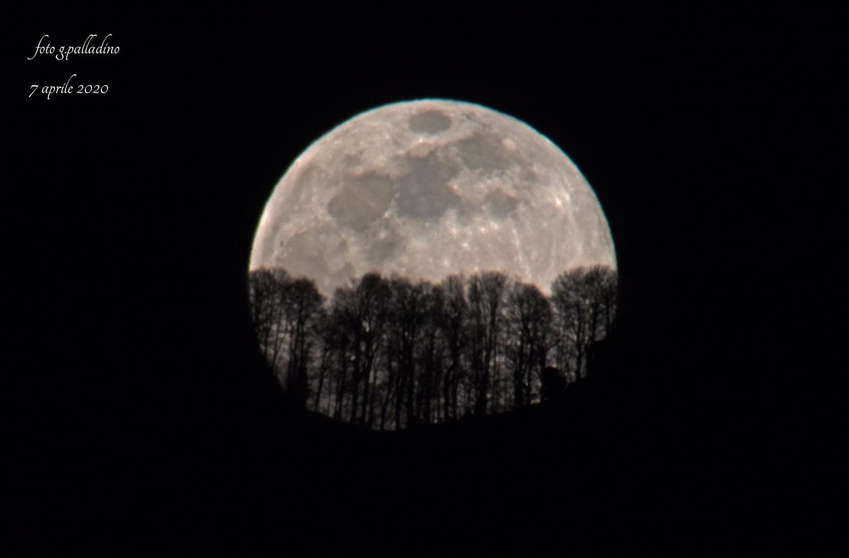 Gli alberi l’abbracciano: dal Cilento la super luna è meravigliosa