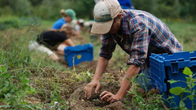 Cilento, la proposta di un comune: «Darsi alla terra per essere autosufficienti»