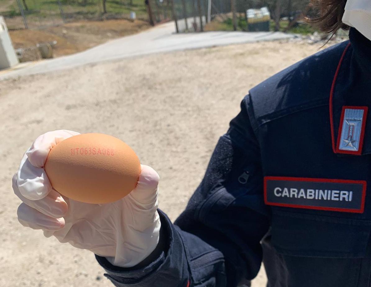 Maxi controlli dei carabinieri: sequestrati carne e prodotti caseari