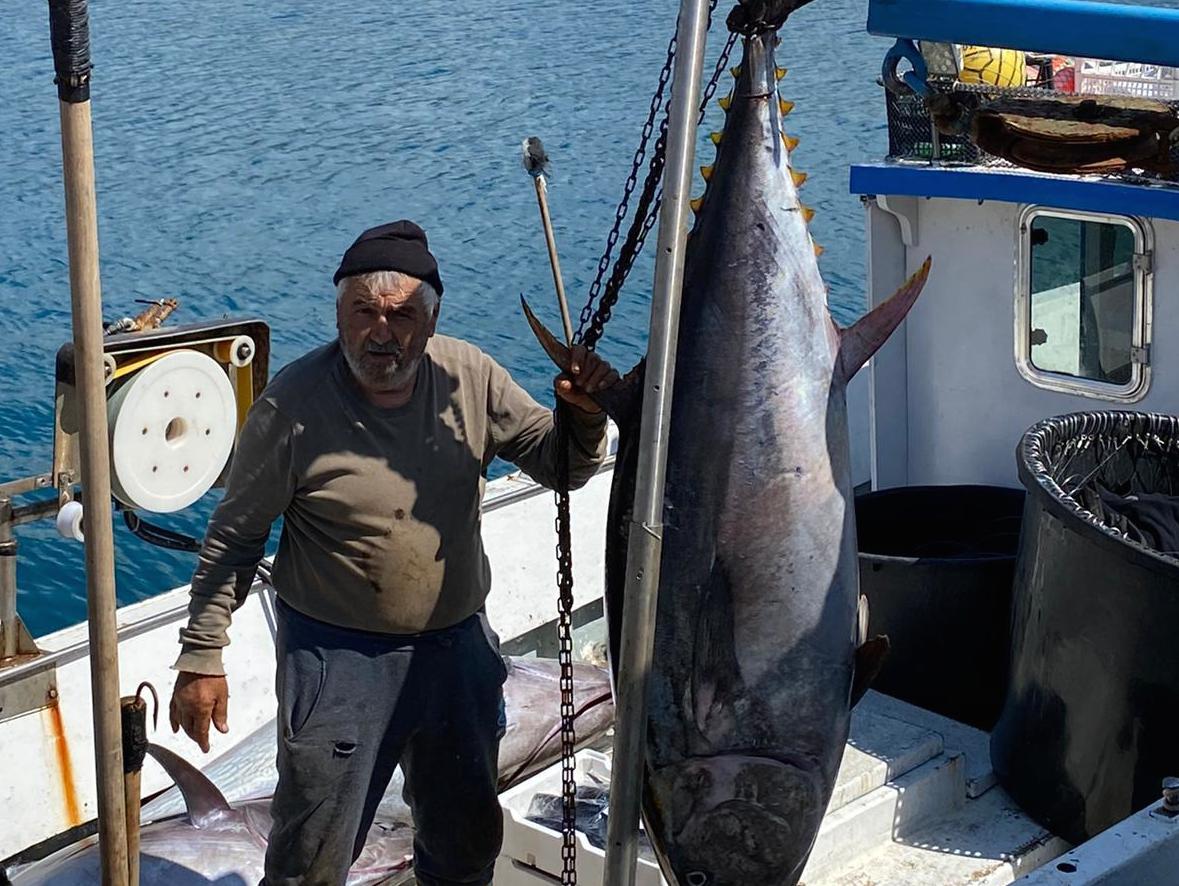 Tonno rosso, via libera alle quote per i pescatori di Sapri dopo anni di battaglie