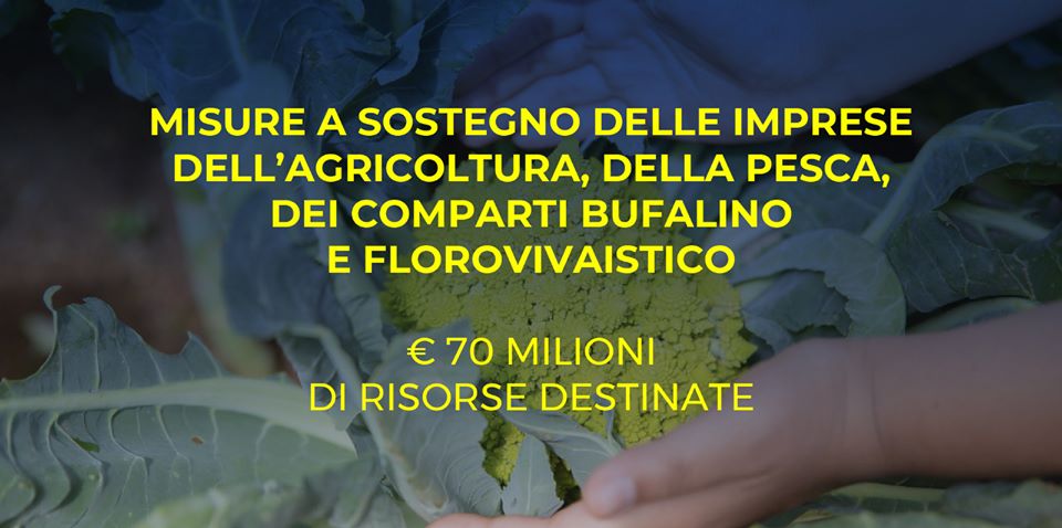 Campania: misure a sostegno della pesca e dell’agricoltura