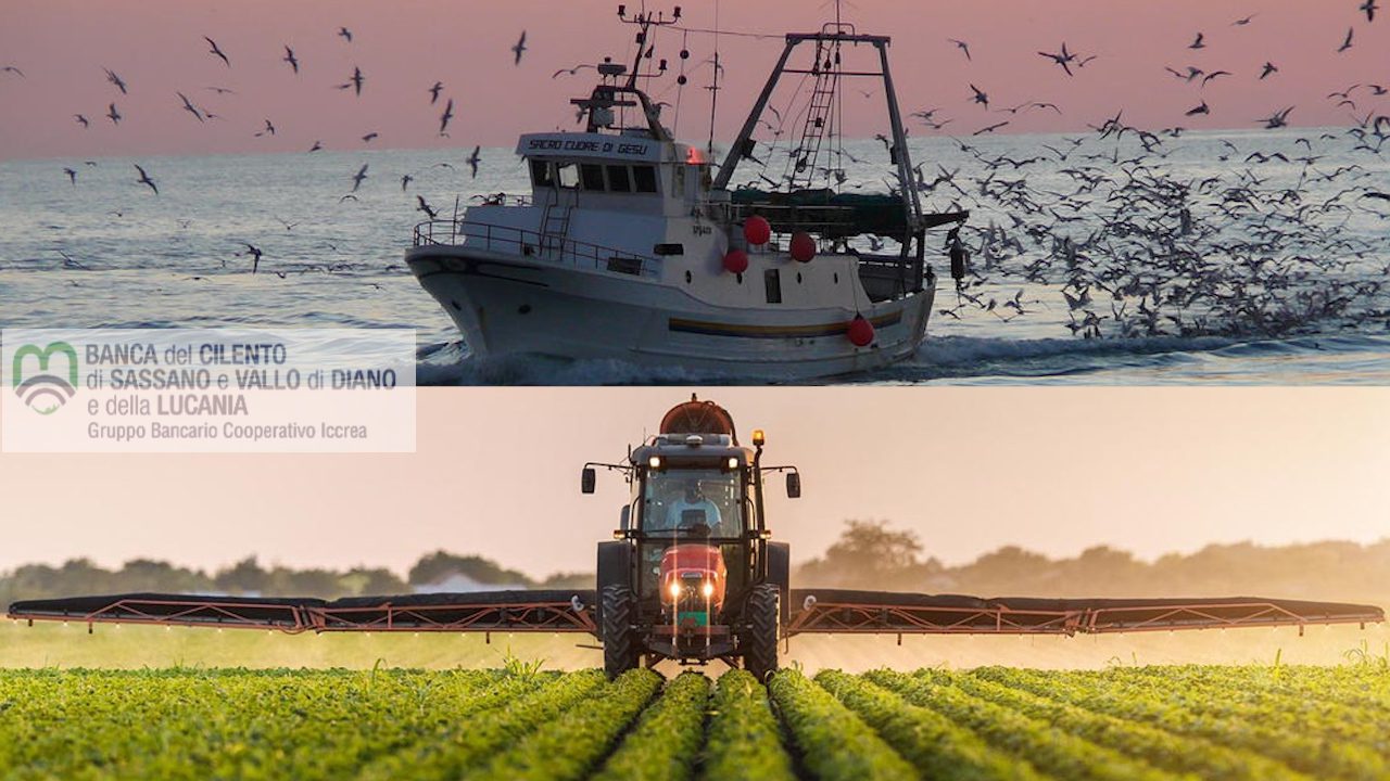 La Banca del Cilento, di Sassano e Vallo di Diano e della Lucania al fianco delle imprese agricole e della pesca