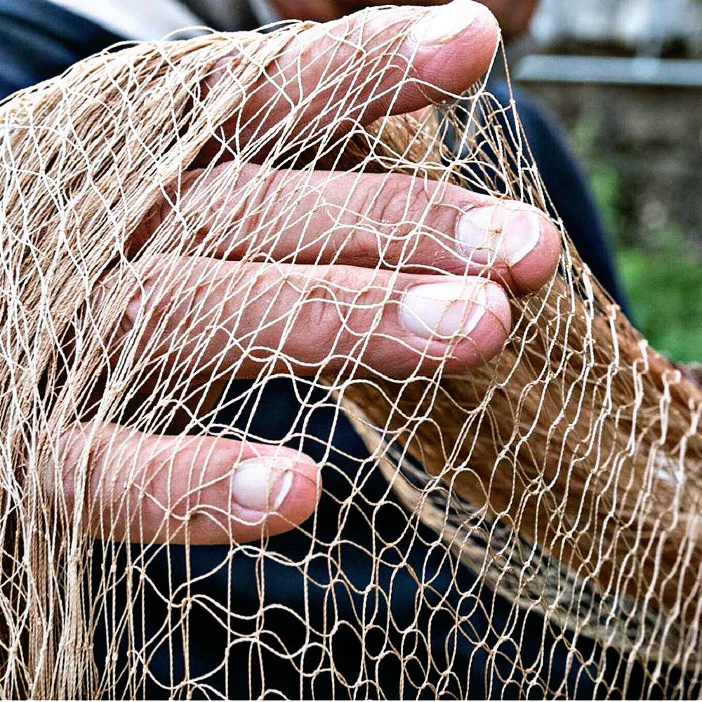 Cilento, le alici di Menaica e l’antica tecnica dei greci