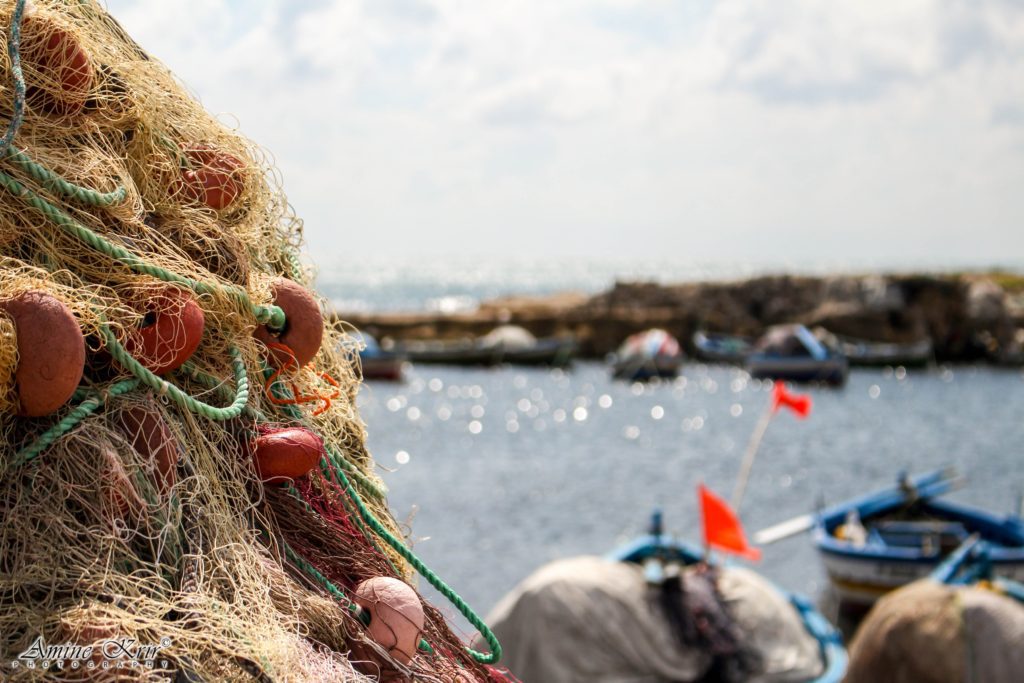 M5S: «Bonus anche ai piccoli pescatori dopo il nostro intervento»