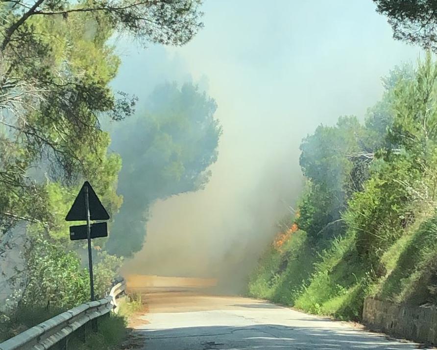 Incendio a Castellabate, vento alimenta le fiamme