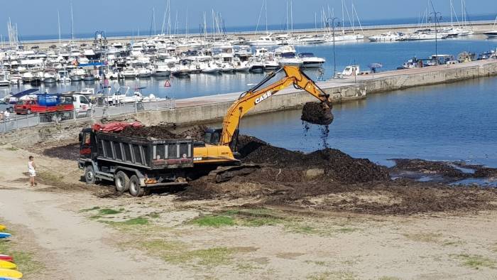 Agropoli, alghe su spiaggia: due proposte da Legambiente