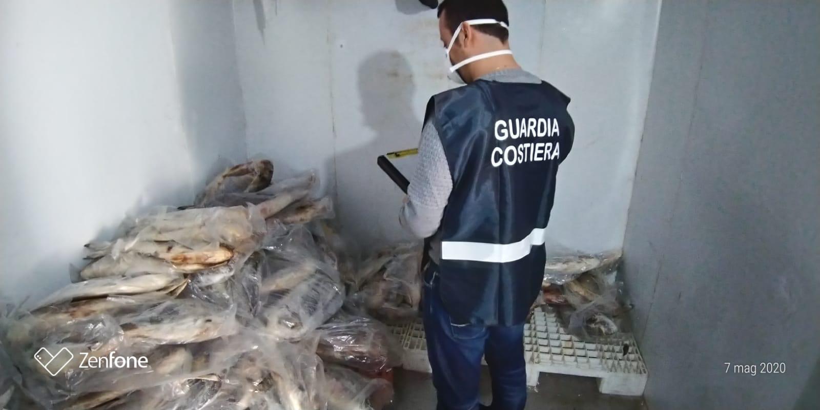 Scario, Guardia Costiera sequestra attrezzi da pesca illegali e 1430 kg di prodotti ittici