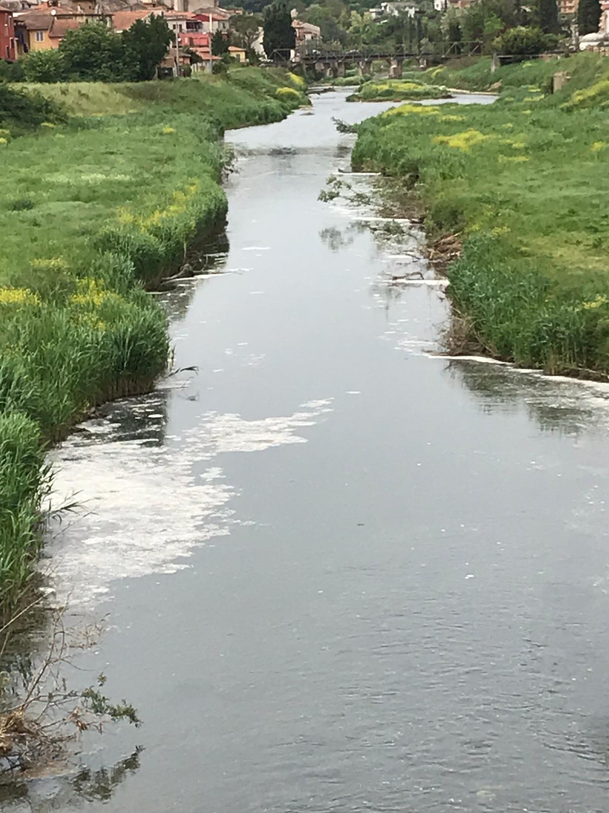 Schiuma bianca nel fiume Tanagro a Polla, cittadini allarmati