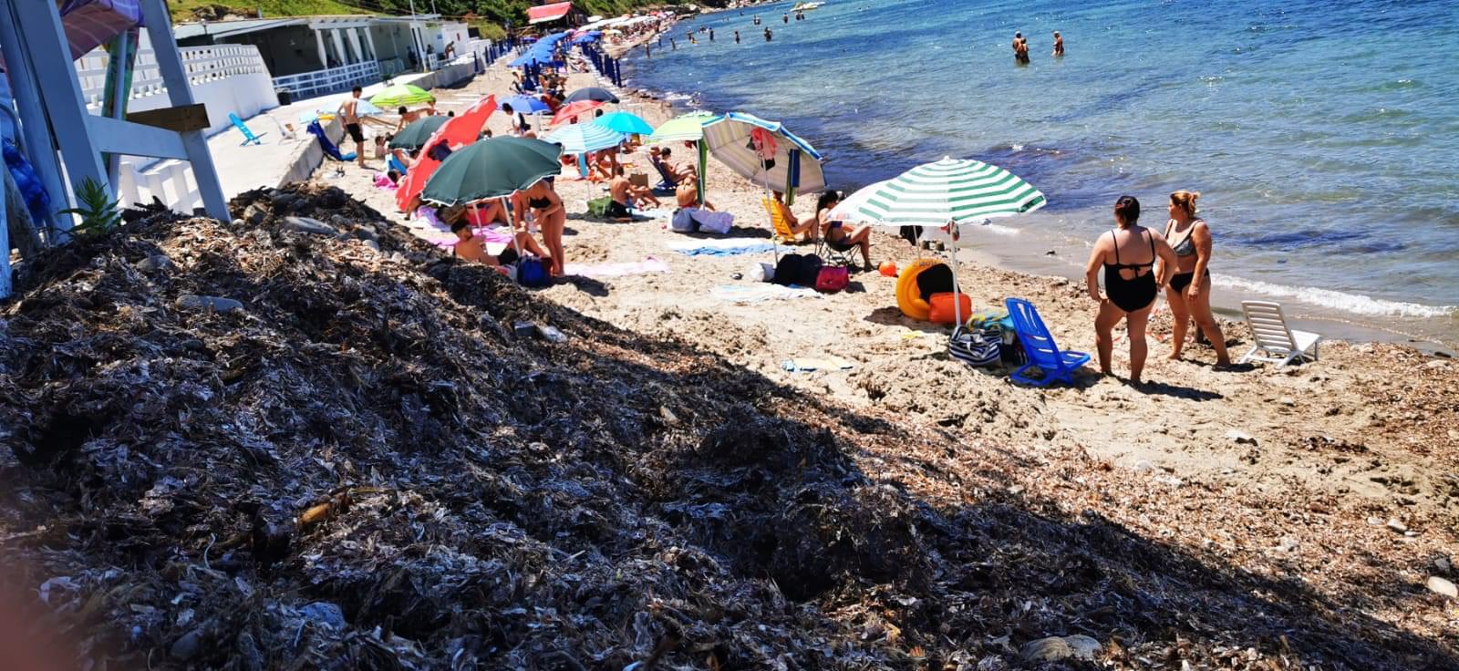 Agropoli, accumuli di alghe sulla spiaggia: è polemica