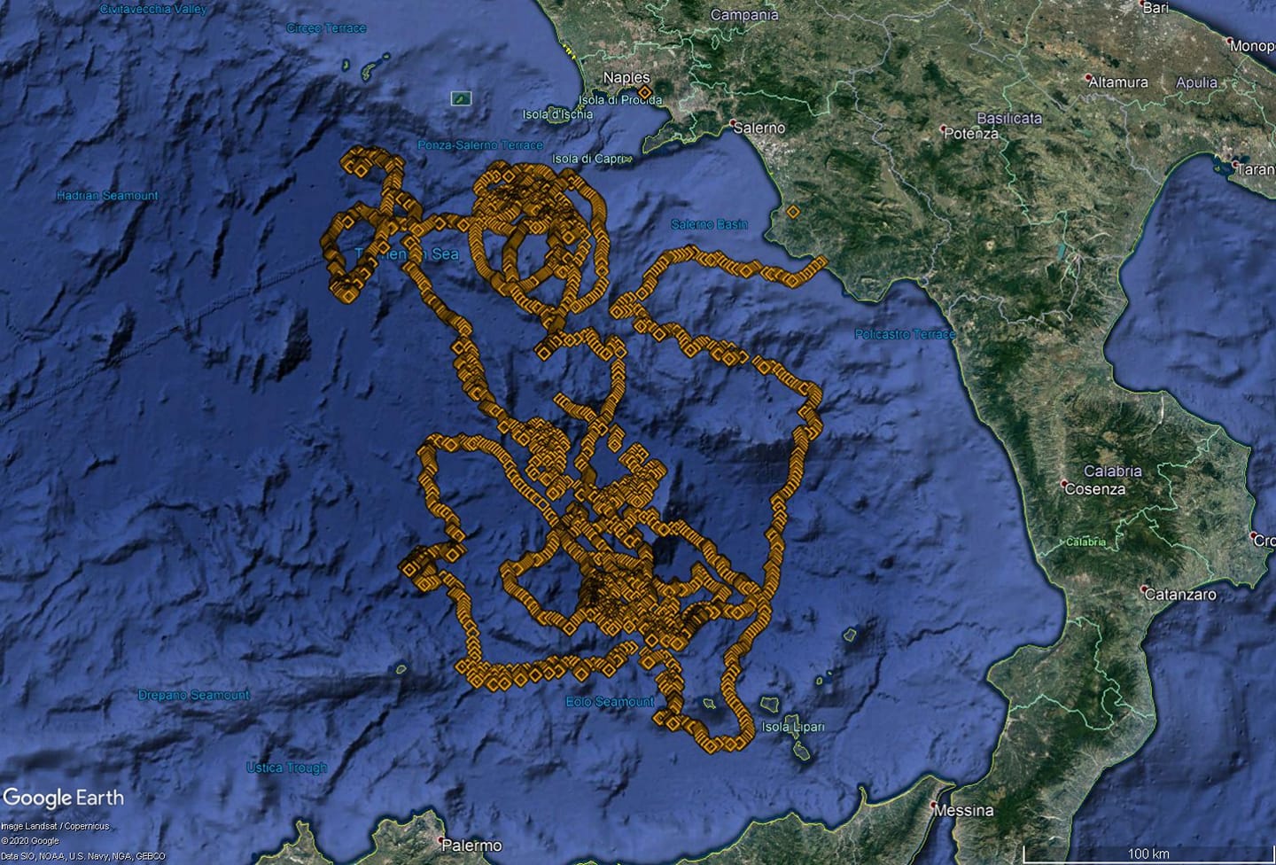 Cilento, la seconda vita della tartaruga “Fortunella”: ecco la mappa degli spostamenti