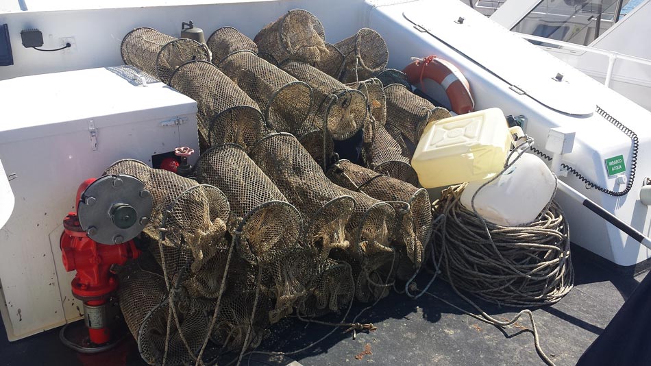 Attrezzi da pesca illegali: sequestri a Sapri e a Scario