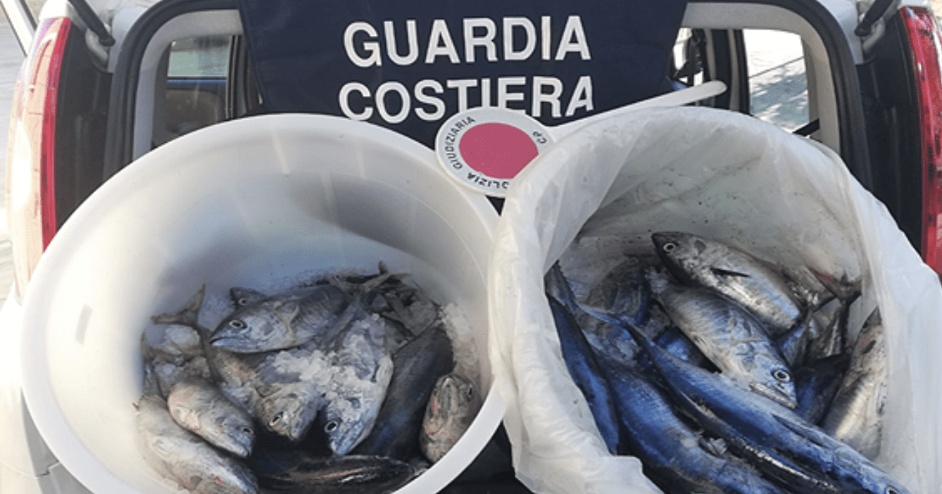 Sequestri nelle pescherie di Camerota, Pisciotta e Santa Marina: blitz della capitaneria