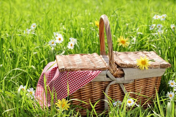 San Giovanni a piro, il picnic all’aperto è la sorpresa di compleanno di una mamma alla sua piccola e a tutti i bambini