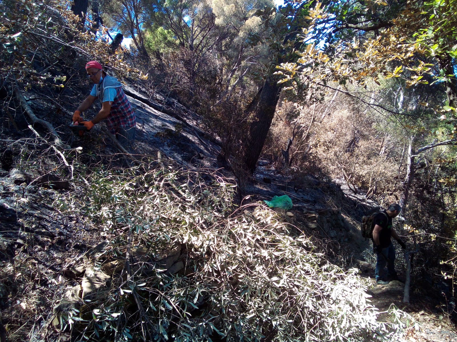 Castellabate, volontari in azione nel sentiero danneggiato dall’incendio