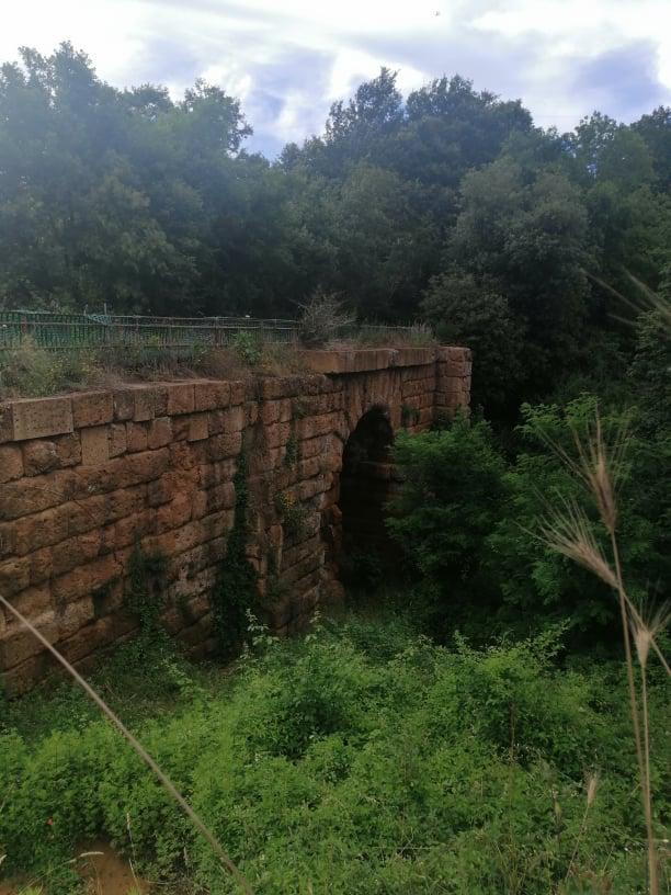 La cilentana “ArcheoArte” protagonista di nuovi studi nel viterbese