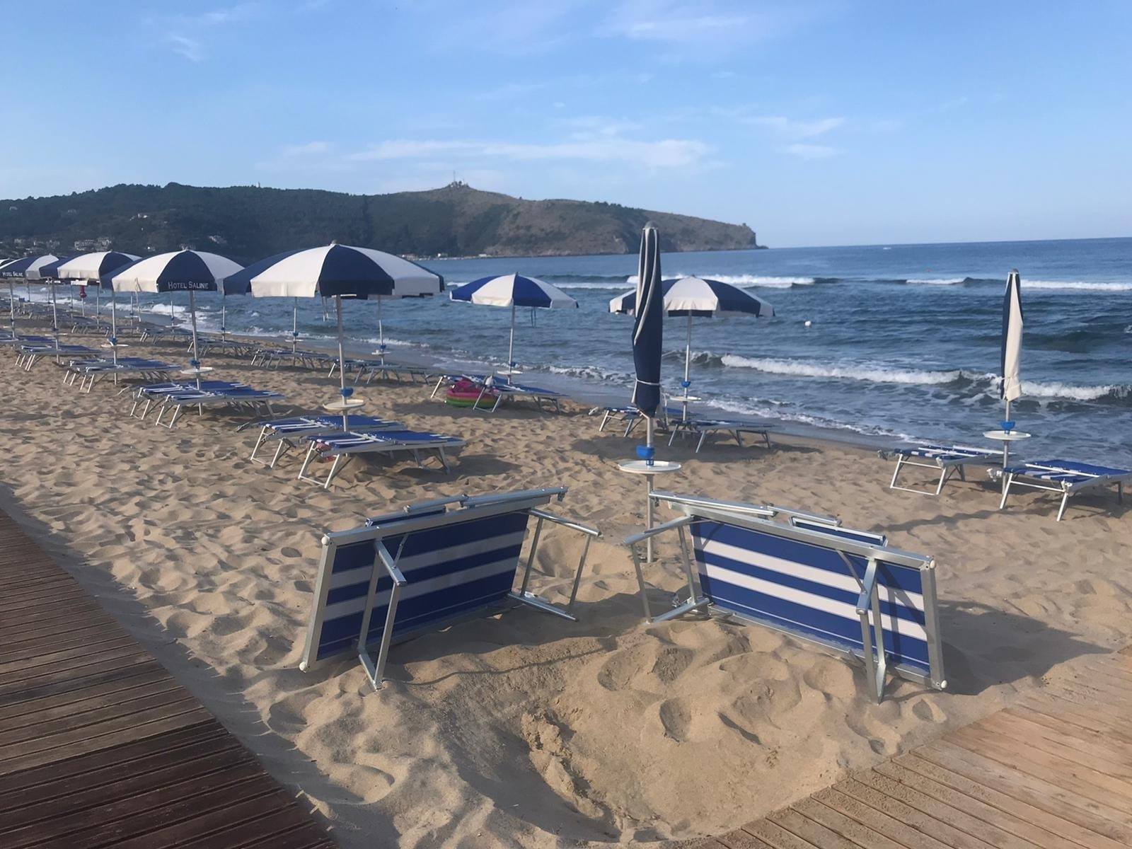 Tracce di tartaruga sulle spiagge di Palinuro e San Mauro Cilento: verifiche in corso