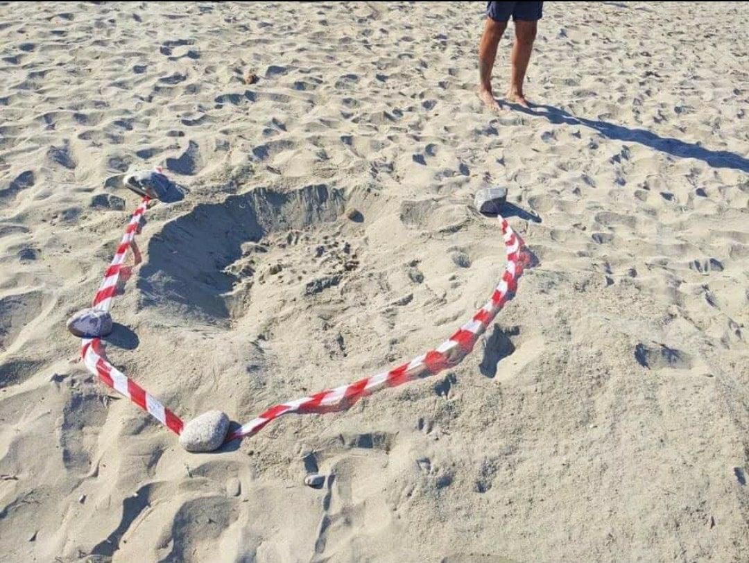 Casal Velino, dodicesimo nido di tartaruga Caretta Caretta in Campania