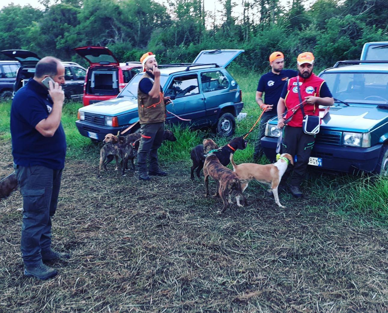 Roccagloriosa, selezionati 56 segugi per il selecontrollo del cinghiale | FOTO