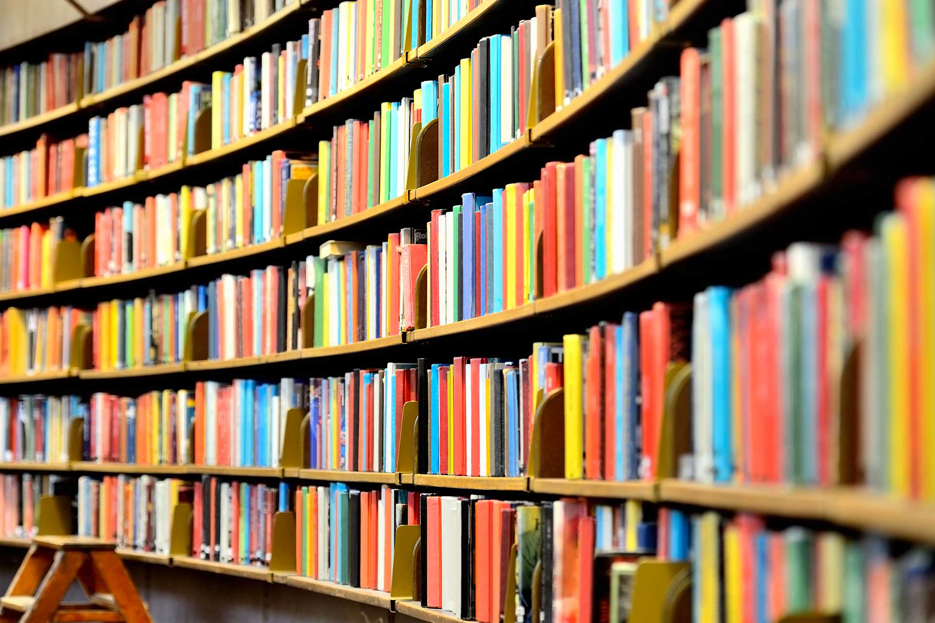 Polla, le biblioteche si mettono in rete per diffondere libri e cultura