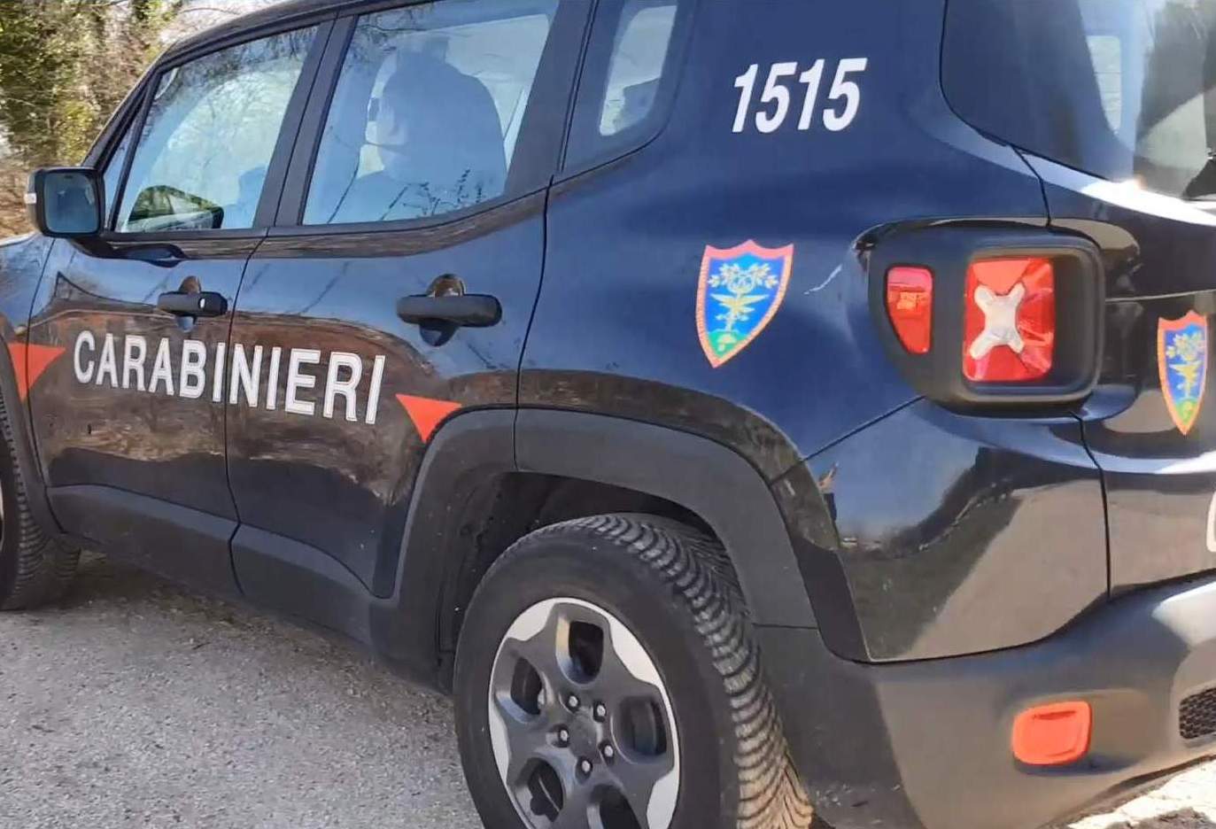 Coltivano marijuana: due giovani arrestati nel Cilento