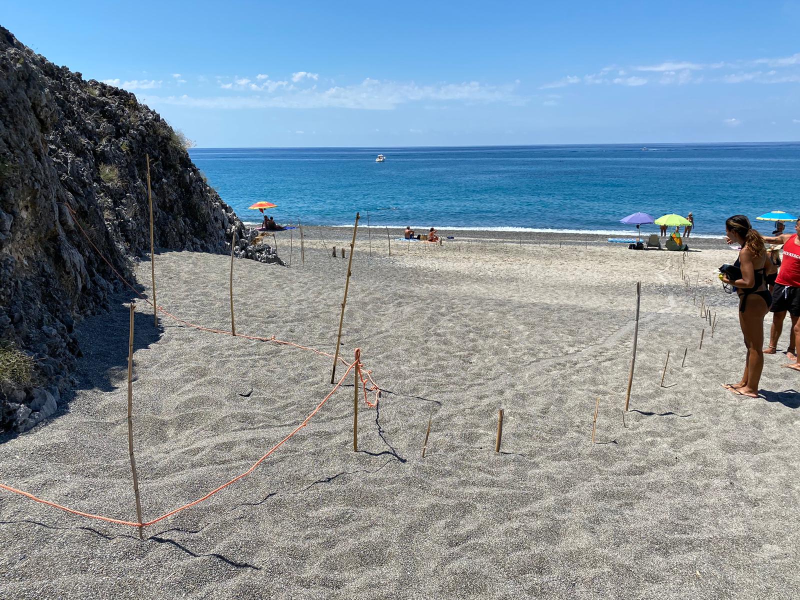 Ancora tracce di tartaruga sulle spiagge di Marina di Camerota