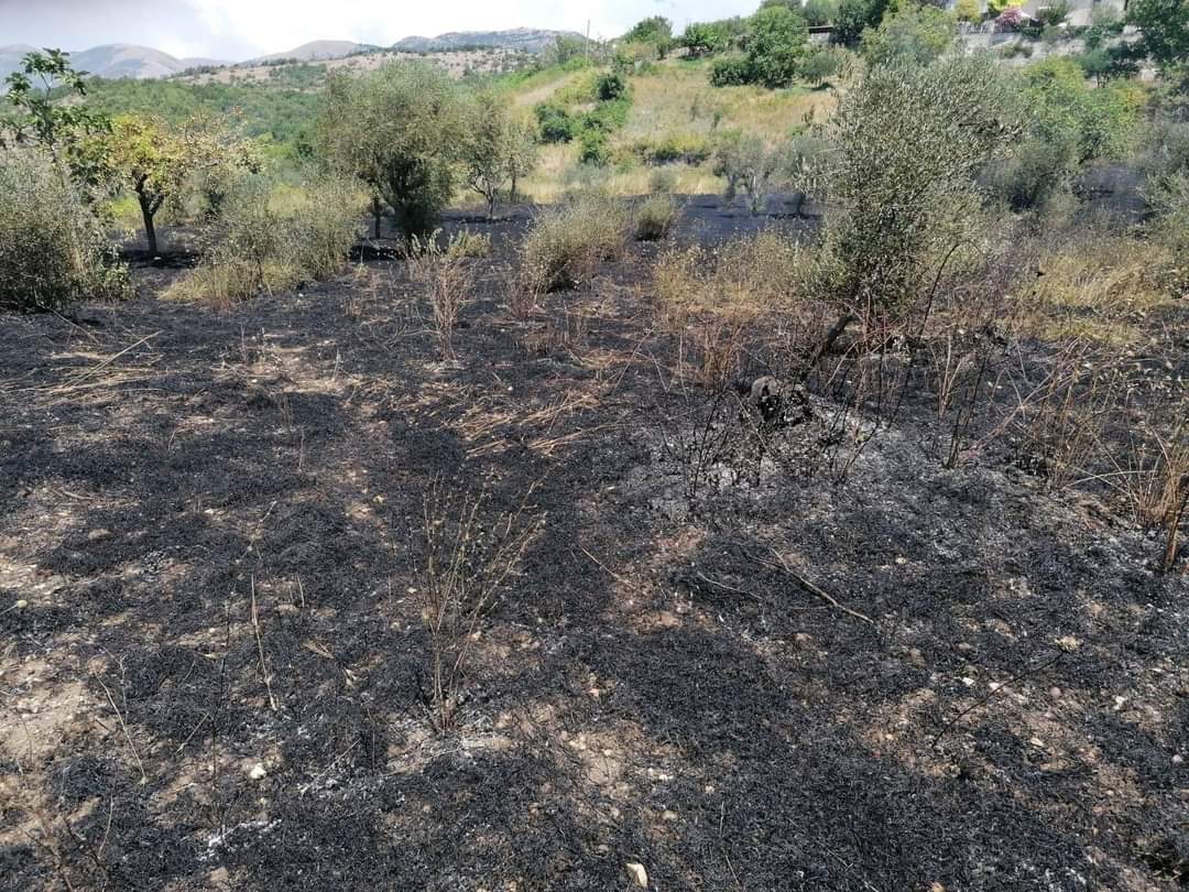 Atena Lucana, in fiamme terreno nei pressi del centro abitato
