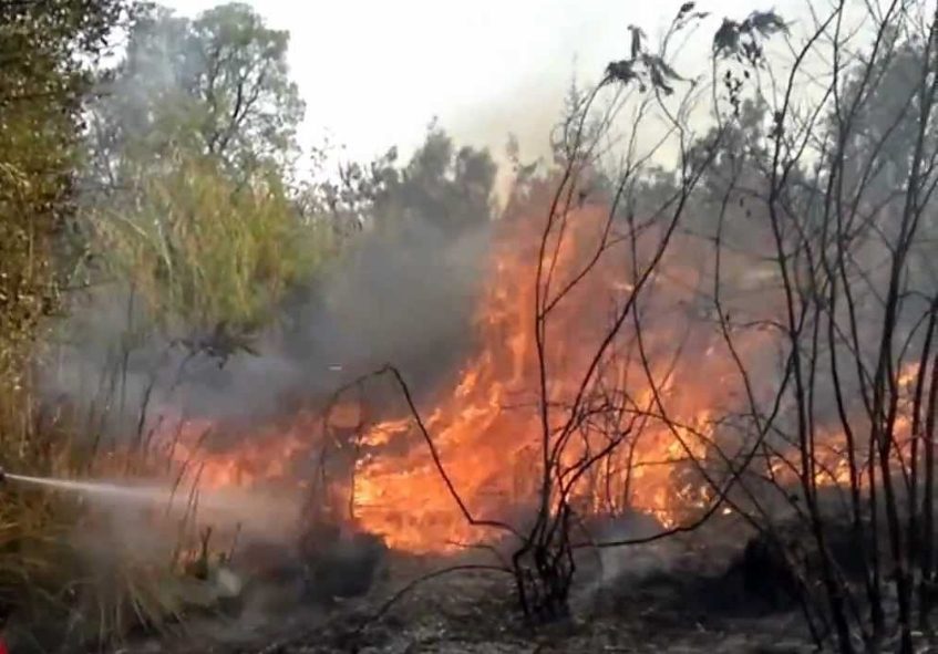 Incendio a Caprioli, fiamme minacciano le abitazioni