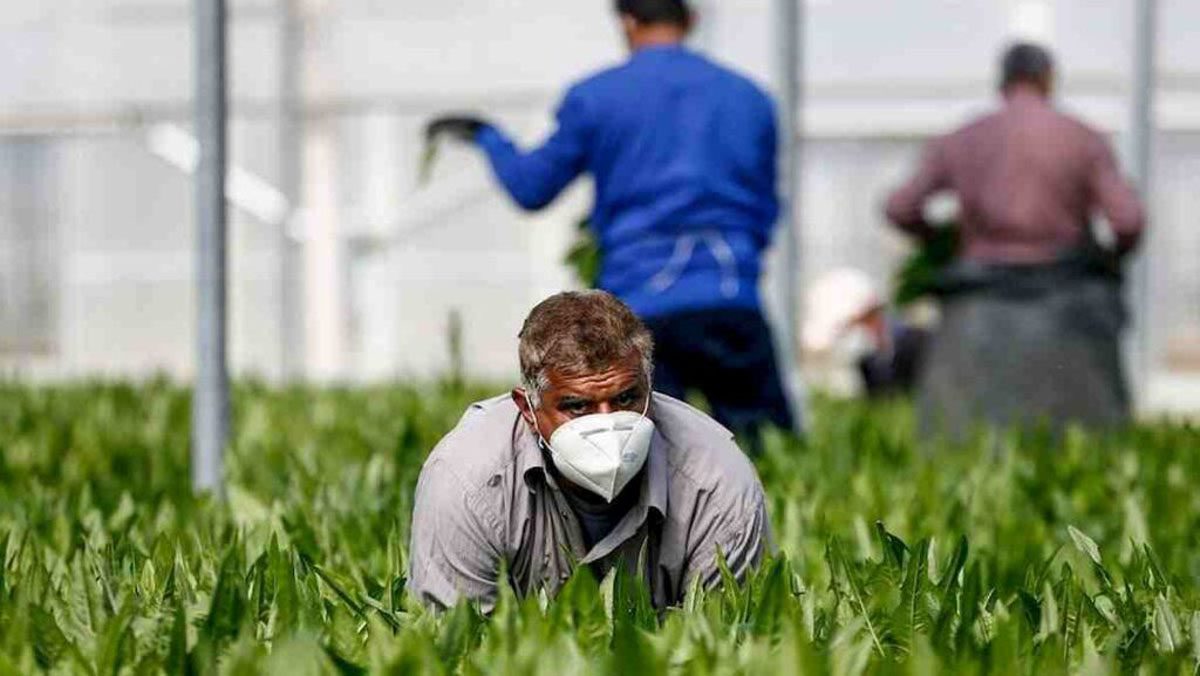 Coronavirus, paura nel salernitano: 24 positivi in azienda agricola