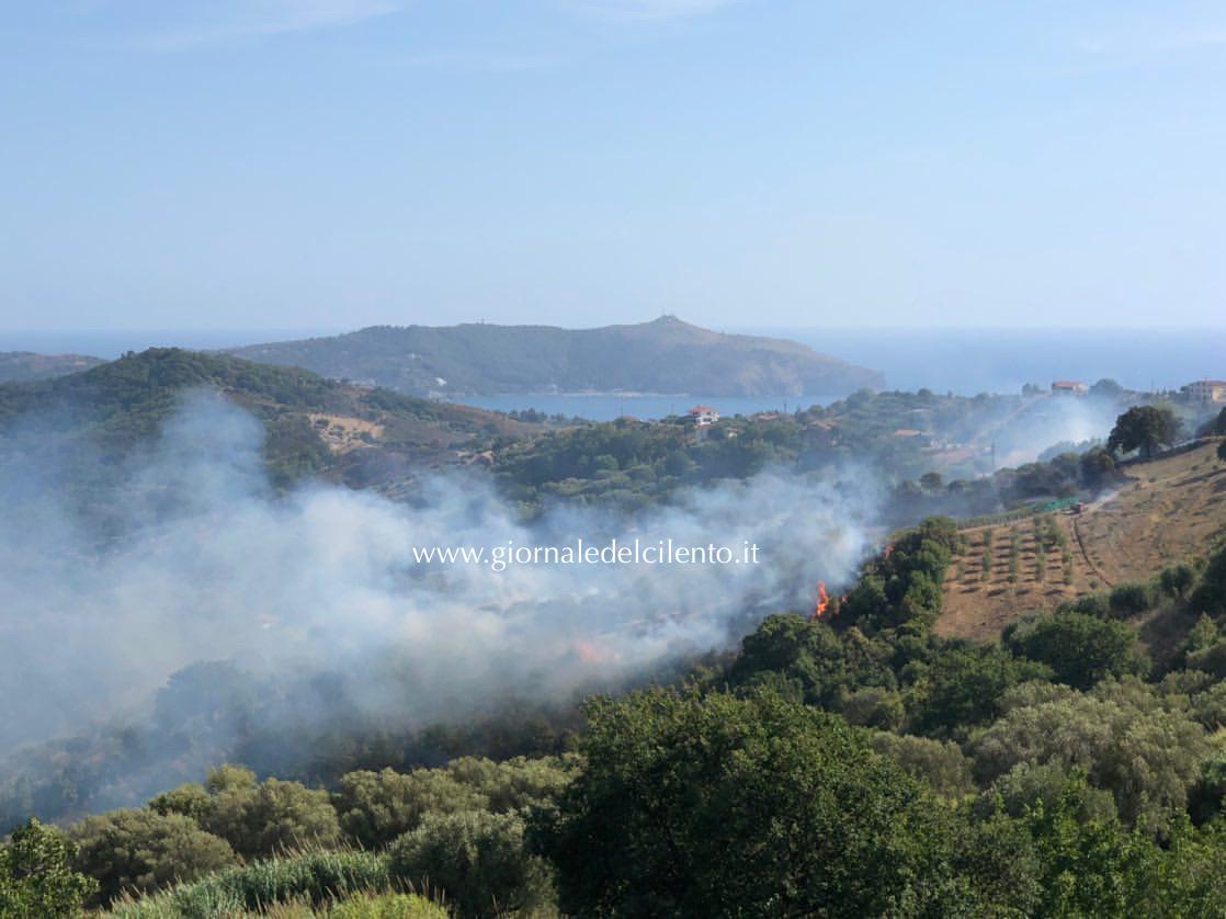Incendio a Centola, a rischio vigneti e campi coltivati