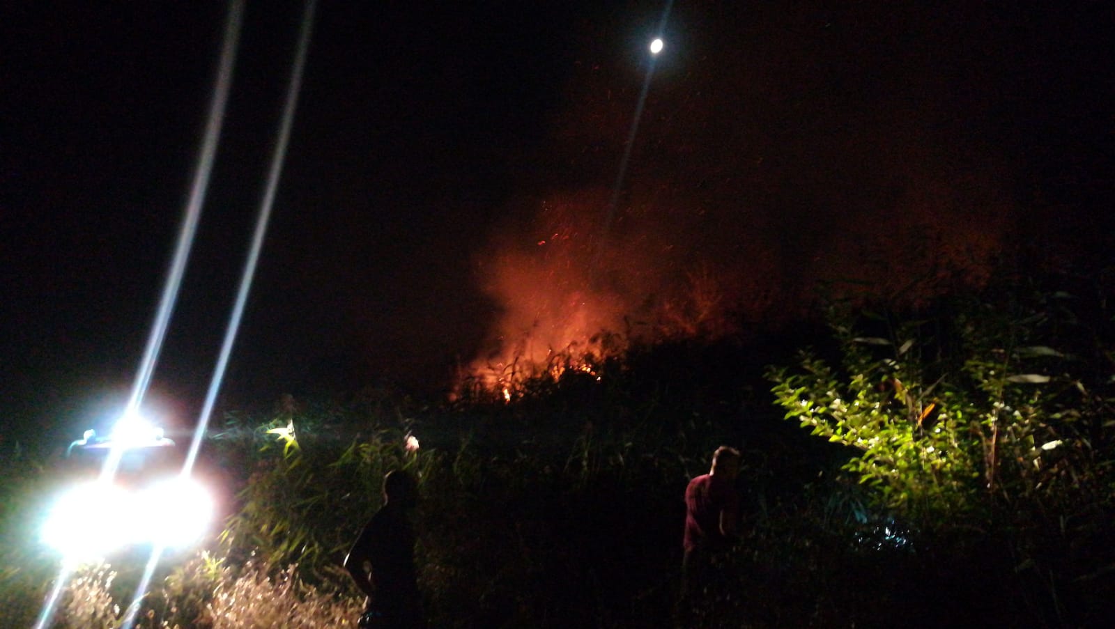 Vasto incendio tra Teggiano e Sala Consilina: intervengono i vigili del fuoco