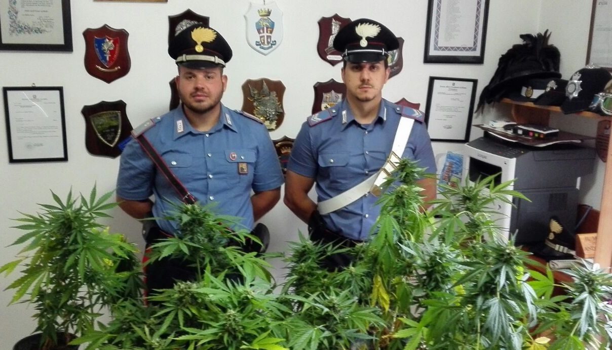 Cilento, coltivava marijuana: 30enne in manette