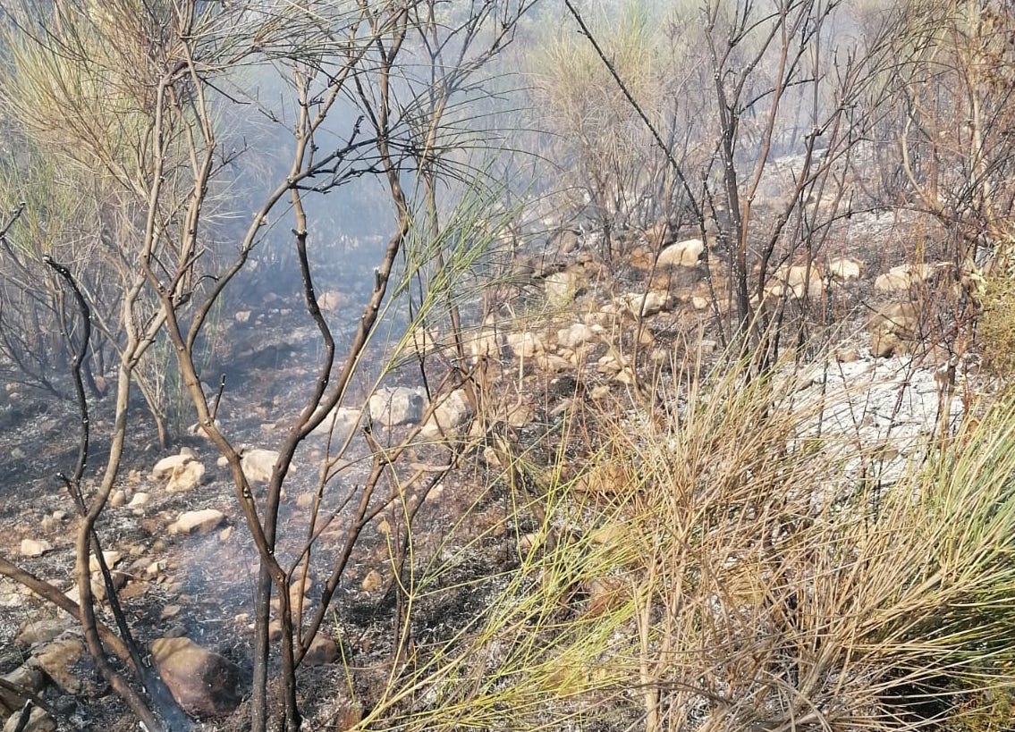 Ancora incendi nel Vallo di Diano, fiamme alte tra Sala Consilina e Padula