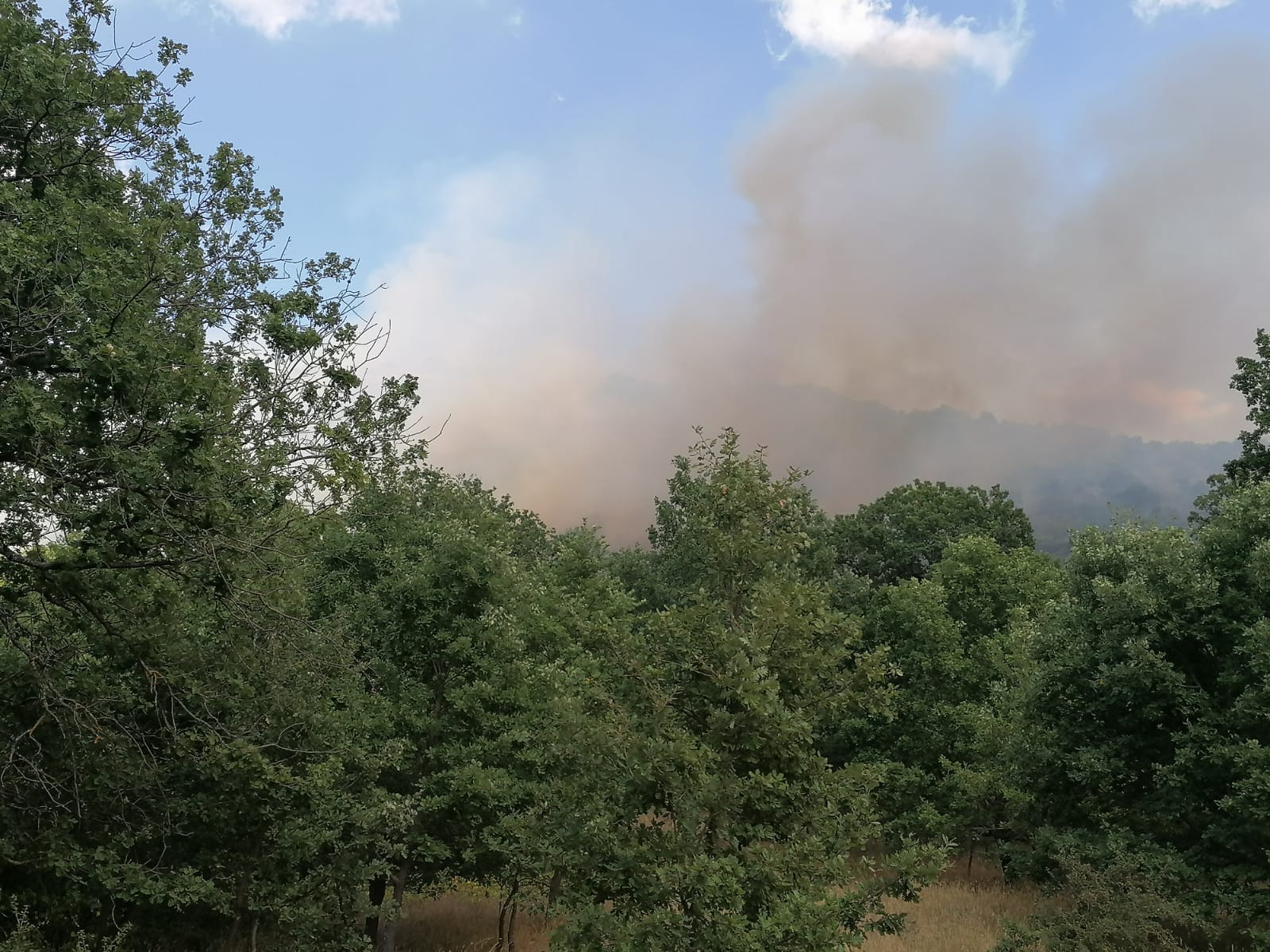 Nuovo incendio minaccia Sala Consilina, fiamme sul Monte Vivo