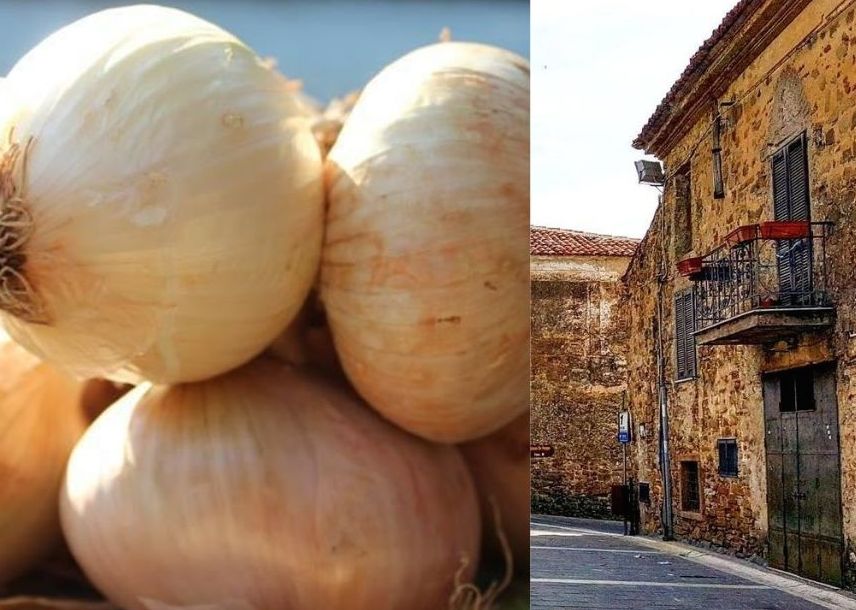 Vatolla, il borgo della cipolla si racconta tra riti antichi e storie di donne