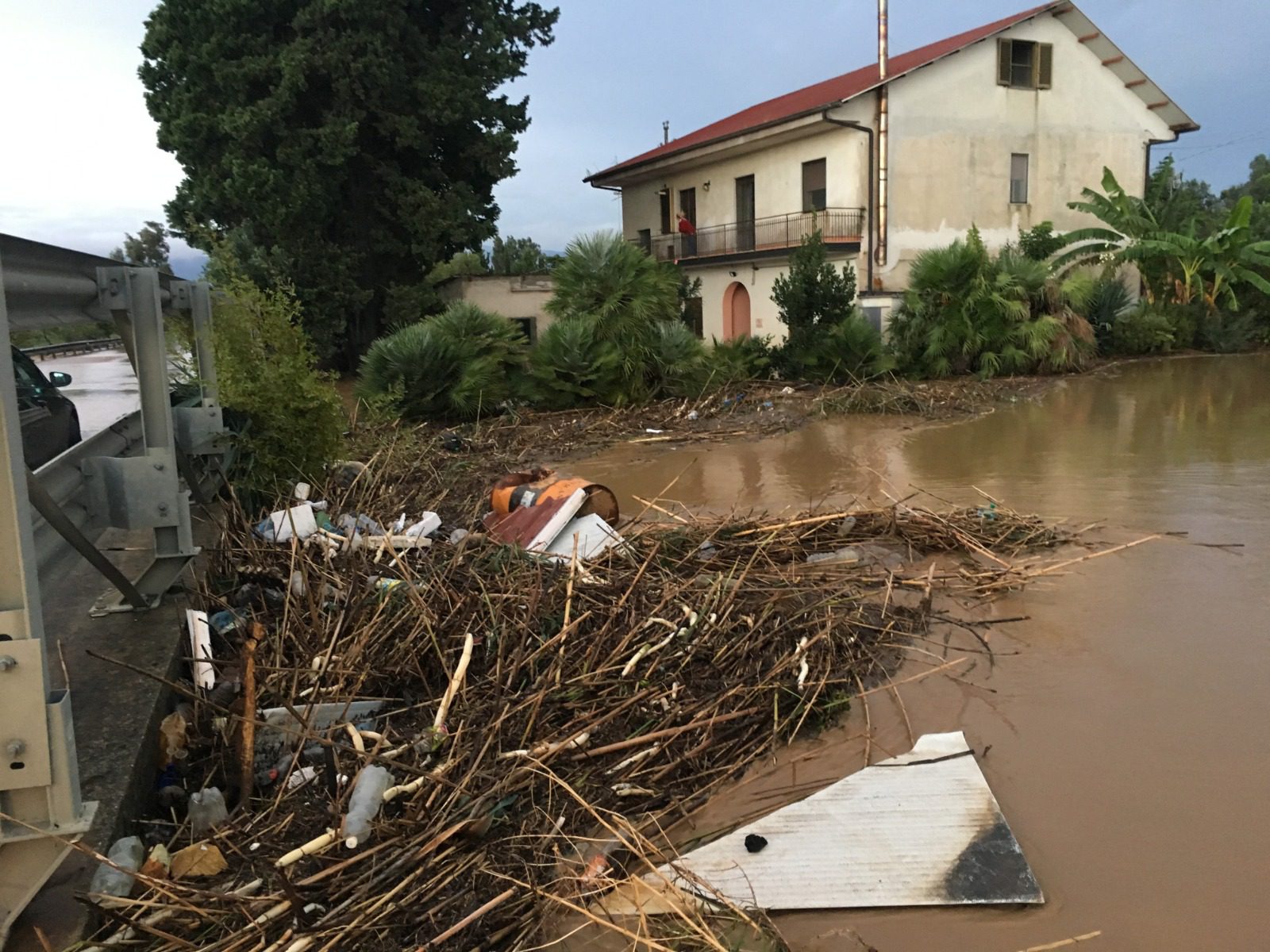 Uliveti, vigneti e aziende: danni per imprese agricole Cilento