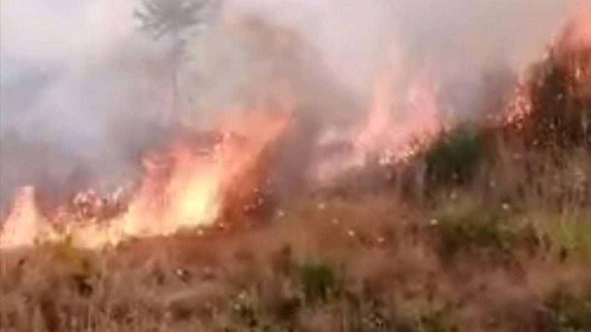 Collina in fiamme ad Ascea, incendio lambisce le abitazioni