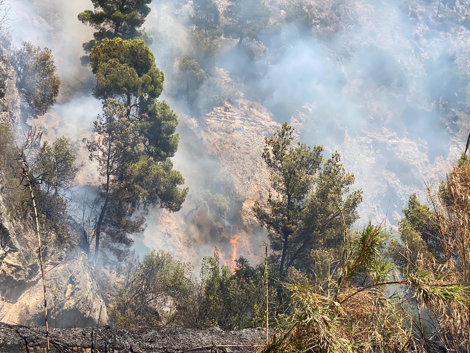 Incendi Campania maglia nera, provincia di Salerno seconda in Italia