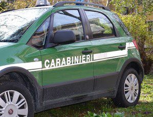 Si appropria di legna in area demaniale: sequestri a Casaletto Spartano