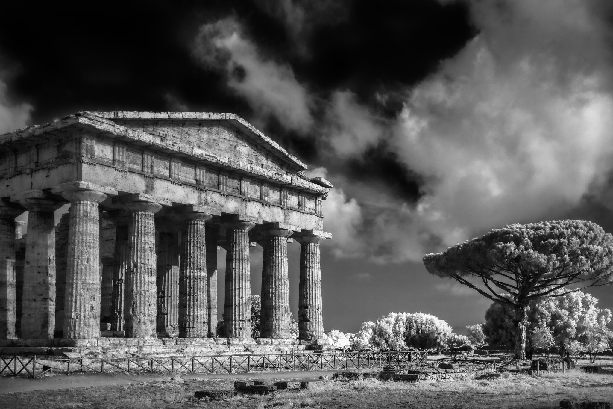 L’archeologia di Paestum si mostra nelle foto dell’artista Marco Divitini