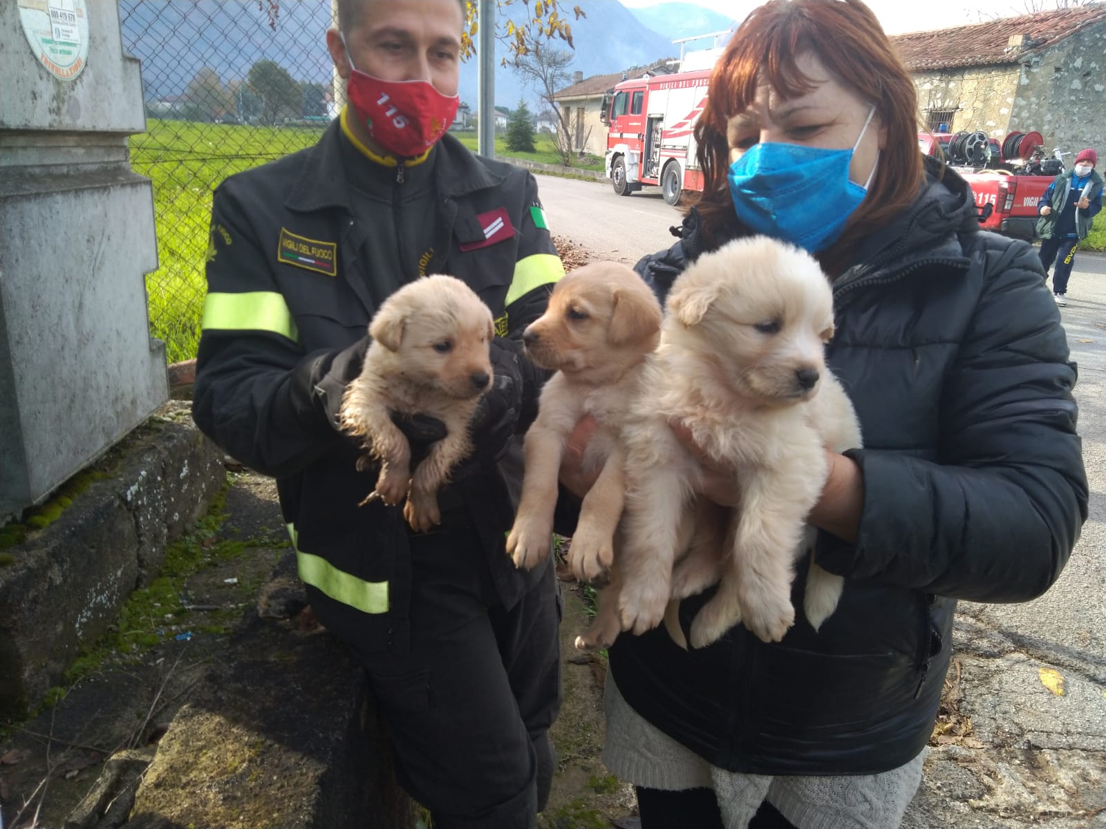 Teggiano, cuccioli di cane salvati dai vigili del fuoco: infilati in un tubo