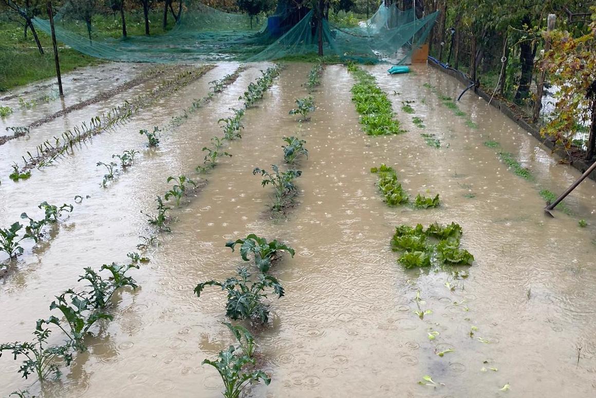 Maltempo, campi sott’acqua nel golfo di Policastro: distrutte intere produzioni