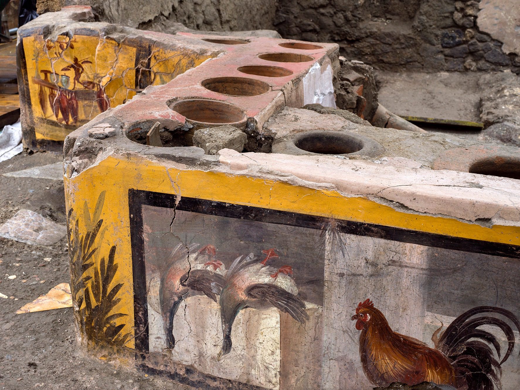 Straordinaria scoperta a Pompei: «Spaccato su dieta mediterranea»