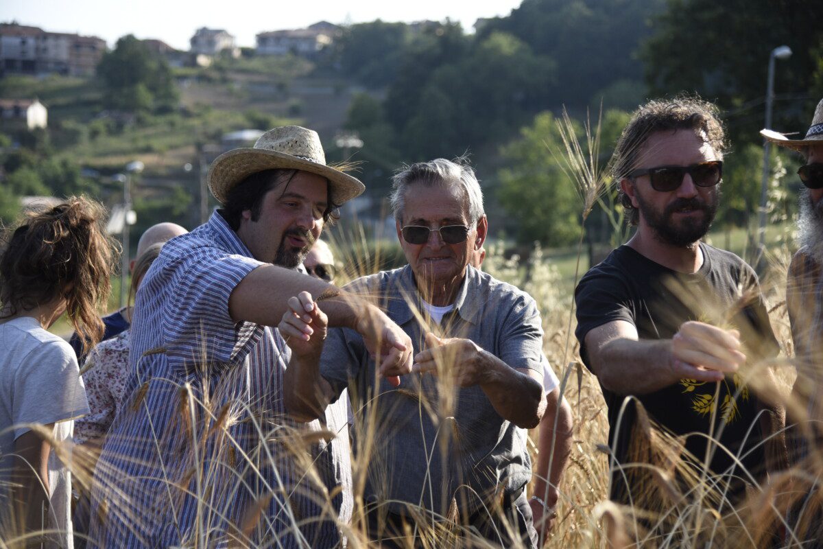 Il Cilento dialoga con il ministro Provenzano, focus su agricoltura e innovazione