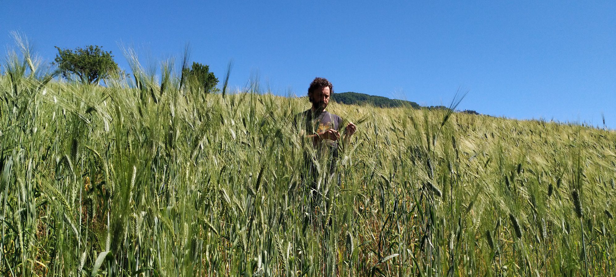 Maker Faire, vince il Cilento con l’attività vincente di Terra di Resilienza